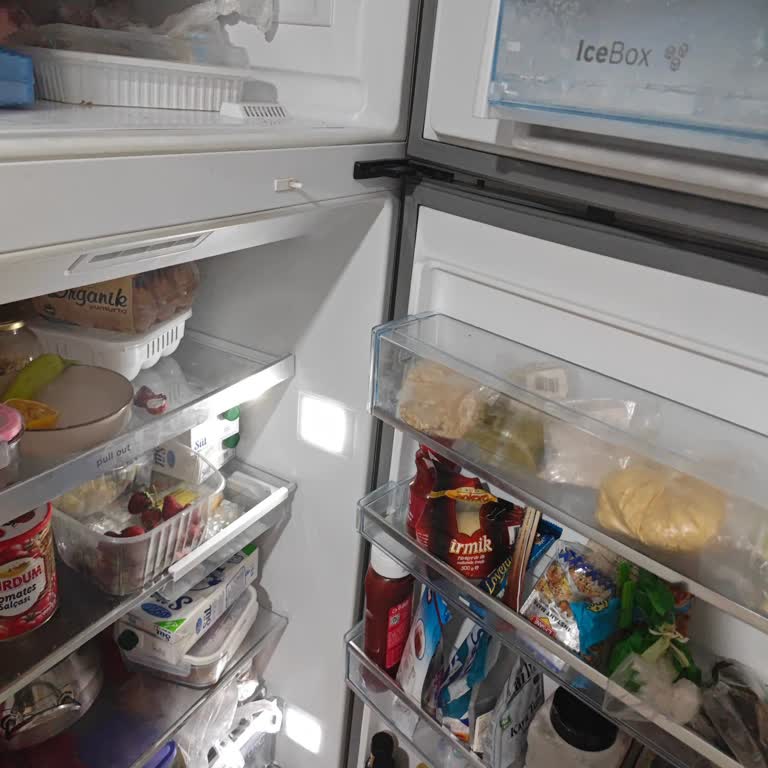 Bosch Buzdolabında Sürekli Tekrarlayan Aydınlatma Ve Kompresör Sorunları