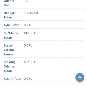 Annemin Emekli Maaşında Kesinti Ve Ödeme Belirsizliği