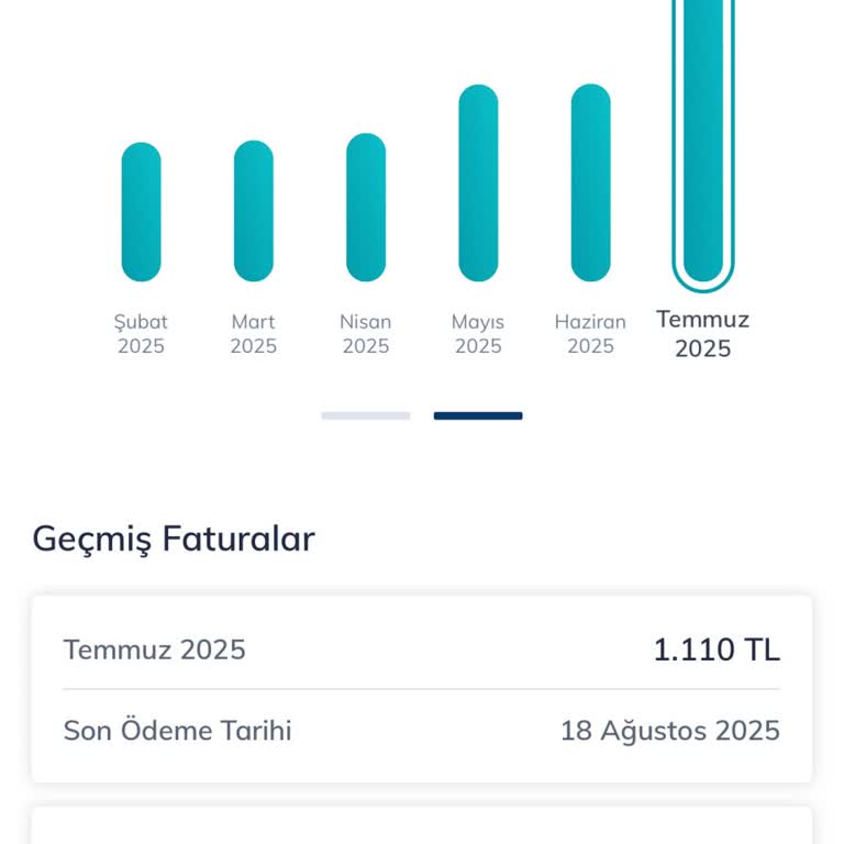 Tarife Aşımı Nedeniyle Yüksek Fatura Ve Eksik Bilgilendirme