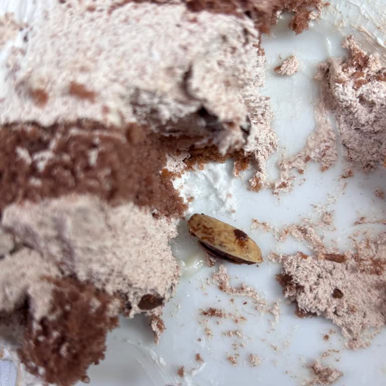 Çatlamış Pasta Ve İlgisiz Personel Hayal Kırıklığı