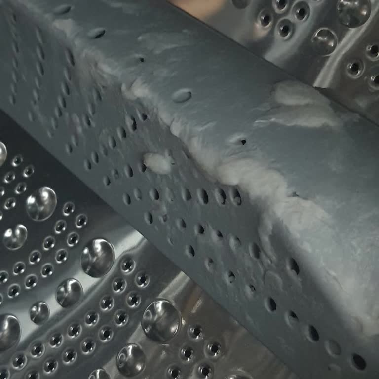 Bosch Çamaşır Makinesi Temizlik Programında Parça Erimesi Ve Ücretsiz Onarım Talebi