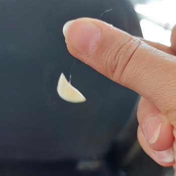 Hair Found in Magnum Ice Cream