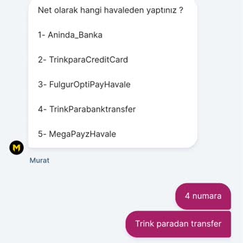 Yatırdığım Para Hesabıma Geçmedi, Müşteri Hizmetleri İlgisiz Ve Engelledi