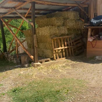 Evimizin Üstünden Geçen Elektrik Telleri Ciddi Güvenlik Riski Oluşturuyor