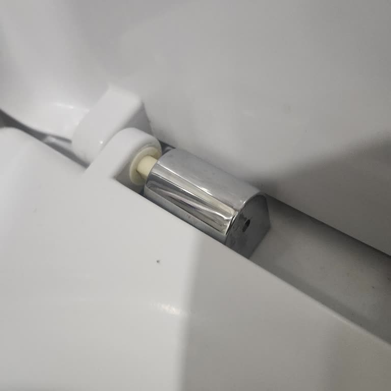 Klozet Kapak Menteşe Parçası Bulunamıyor, Çözüm Bekliyorum