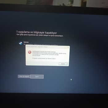 Steam Ve ETS2'de Sürekli Uygulama Hatası Ve Destek Eksikliği