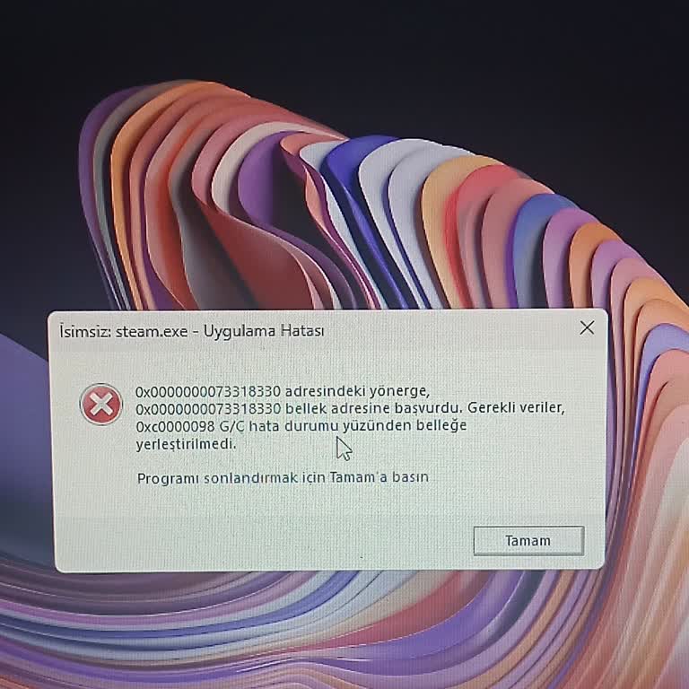 Steam Ve ETS2'de Sürekli Uygulama Hatası Ve Destek Eksikliği