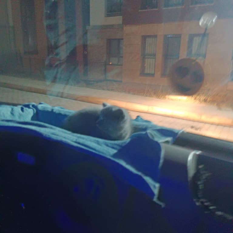 Çekim Talebim Sürekli İptal Ediliyor, Param Gönderilmiyor