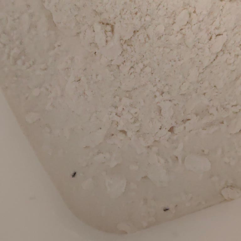 Söke Unlarda Tekrarlayan Böceklenme Sorunu Ve Hayal Kırıklığı