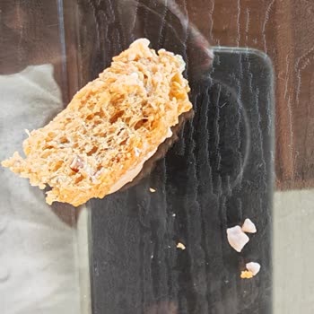 Aldığım Ekmekten Taş Çıktı, Dişim Zarar Gördü