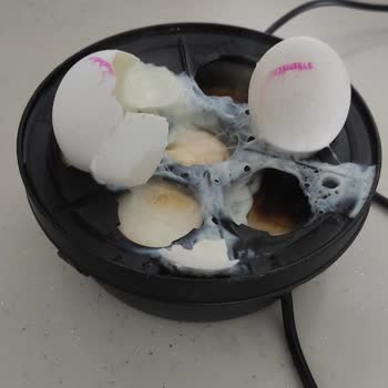 Yumurta Kalitesizliği Ve Sürekli Patlama Sorunu