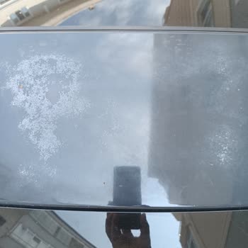 Tavan Vernik Soyulması Üretim Hatası Olabilir Mi