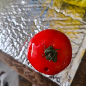 Migros Sanal Marketten Gönderilen Kalitesiz Sebzeler Hayal Kırıklığı Yarattı