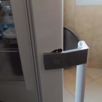 Vestel Buzdolabında Soğutmama Ve Artan Paslanma Mağduriyeti