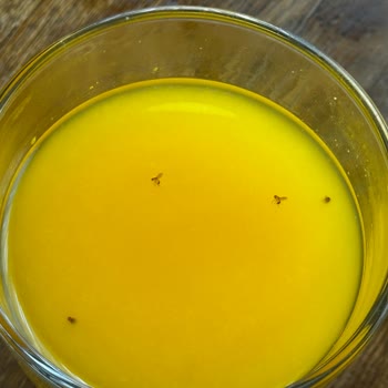 Migros Nişantaşı Şubesinde Süregelen Hijyen Sorunları Ve Sağlık Riski