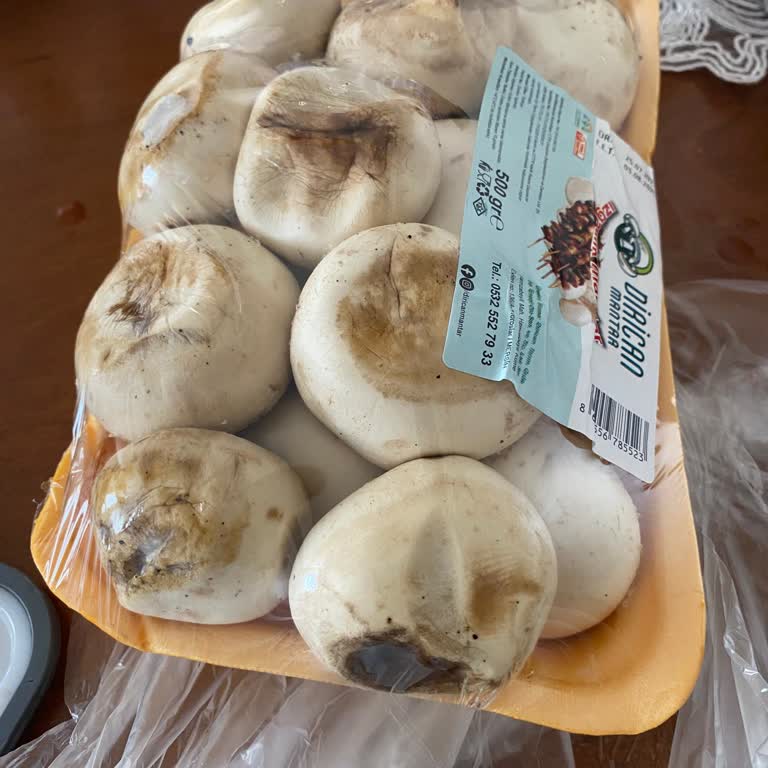 Migros Hemen Bozuk Mantar Ve Çözümsüz Müşteri Hizmetleri Deneyimi