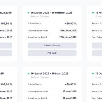 Netspeed Hem Yüksek Fiyata Hem De Günlerce İnternetsiz Bıraktı