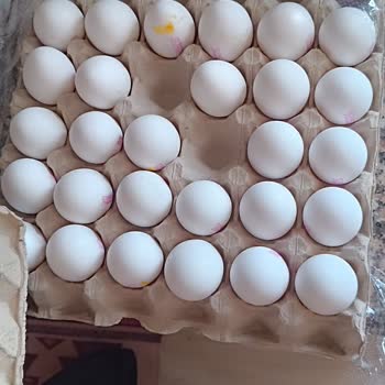 Yumurta Paketinde Eksik Ürün Ve Şaşırtan Yerleşim