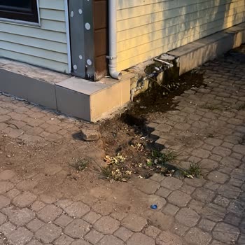 Marmaris Siteler'de Temizlik Ve Güvenlik Sorunu, Muhtar İlgisizliği