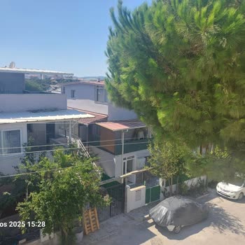 Urla Belediyesi Elektrik Tellerine Değen Ağaç Nedeniyle Yangın Tehlikesi Ve Budama Talebi