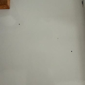 Boya Kısa Sürede Kalktı, Garanti Hayal Kırıklığı