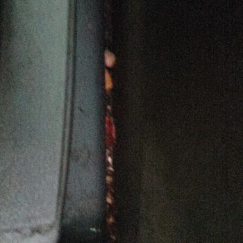 Aras Turizm'in Söz Verdiği Hizmetler Eksik Çıktı, Mağdur Oldum