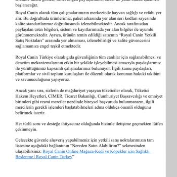 Sahte Mama Nedeniyle Kedilerimin Kaybı Ve Yetersiz Destek