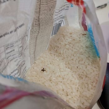 Aldığım Pirinçte Güve Sorunu Ve İade Problemi