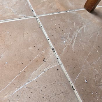 Fırın Bacasından Yayılan Yoğun Duman Yaşam Kalitesini Düşürüyor