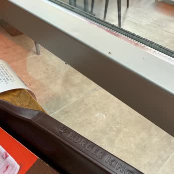 Burger King Gümüşhane Şubesinde Karınca Sorunu Hijyen Endişesi