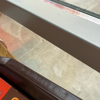 Burger King Gümüşhane Şubesinde Karınca Sorunu Hijyen Endişesi