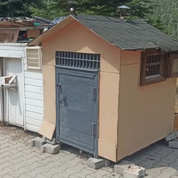 Başıboş Köpekler Ve Besleme Noktaları Güvenliği Tehdit Ediyor