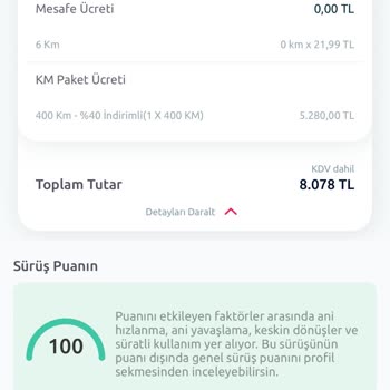 Araç Kiralama Sürecinde Yaşanan Sorunlar Ve Gecikmeler