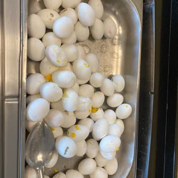 Kötü Temizlik Ve Yetersiz Hizmetle Tatilimiz Kabusa Döndü