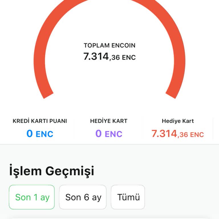 En Cüzdan Bakiyemi Çekemiyorum, Mağdurum!