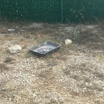 Dome Evde Temizlik Ve Güvenlik Sorunları, Yetersiz Hizmet Deneyimi