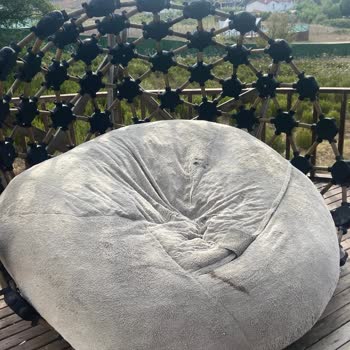Dome Evde Temizlik Ve Güvenlik Sorunları, Yetersiz Hizmet Deneyimi