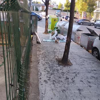 Beylikdüzü Belediyesi Çevre Temizliği Sorunu!