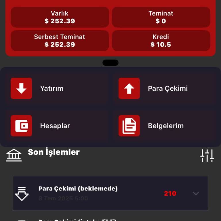 Swisstrade'den Para İadesi İçin Geri Dönüş Bekliyorum