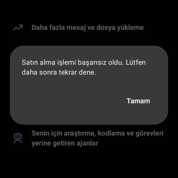 Satın Aldığım ChatGPT Plus'a Erişemiyorum, İade De Yapılmadı