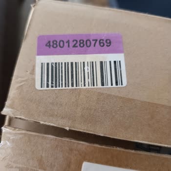 Dyson V15 Süpürge Haznesinden Çıkan Parçalar Tekrar Takılamıyor