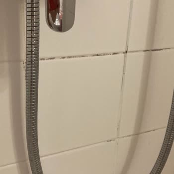 Binrota Turizm Vadedilen Konforlu Oteller Yerine Hijyen Ve Konfordan Uzak Odalarla Mağdur Olduk