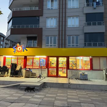 Şok Market Erken Kapanışlarıyla Müşterileri Mağdur Ediyor