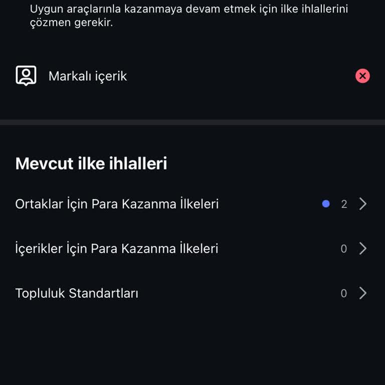 Instagram Para Kazanma Özelliği İlk Kullanımda Hatalı Uyarı Veriyor