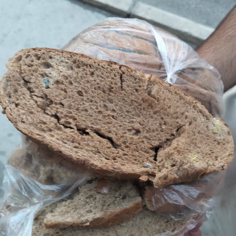 Şok Market’ten Alınan Küflü Ekmek Ve Sağlık Endişesi