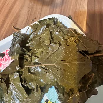 Satın Alınan Salamura Yaprakta Kullanım Sorunu ve Ücret İadesi Talebi