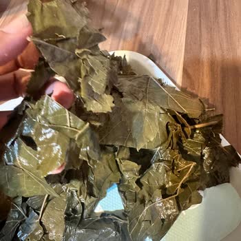 Satın Alınan Salamura Yaprakta Kullanım Sorunu ve Ücret İadesi Talebi