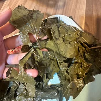 Satın Alınan Salamura Yaprakta Kullanım Sorunu ve Ücret İadesi Talebi