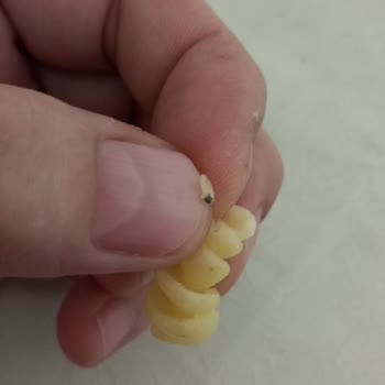 Hazır Makarna Ürününde Yabancı Madde Tespiti ve Güven Sorunu