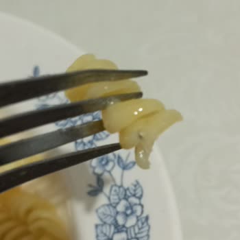 Hazır Makarna Ürününde Yabancı Madde Tespiti ve Güven Sorunu